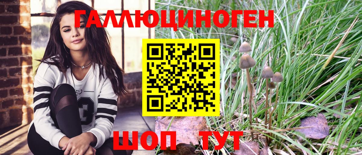 Галлюциногенные грибы Psilocybe  Псилоцибиновые грибы мухоморы  Сосновый Бор  Вход с VPN 